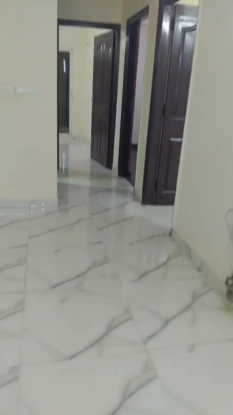 Flat For Rent In Ibrahimpur Alipur