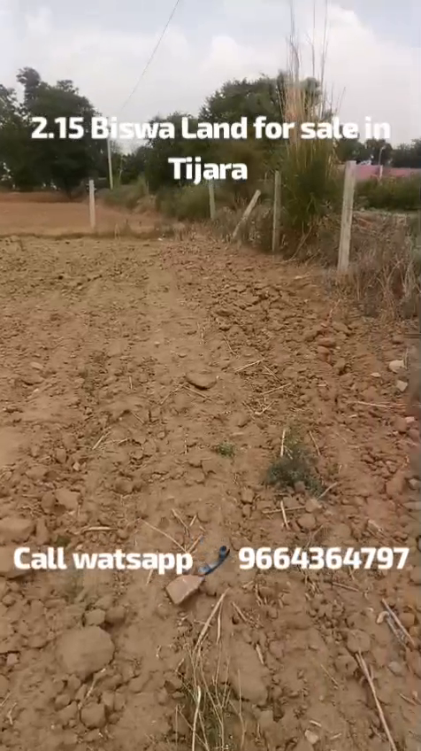 Plots For Sale In Thethar Basna Kotkasim