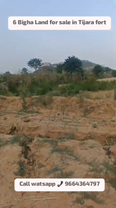Plots For Sale In Nangal Maujiya Kishangarh Bas