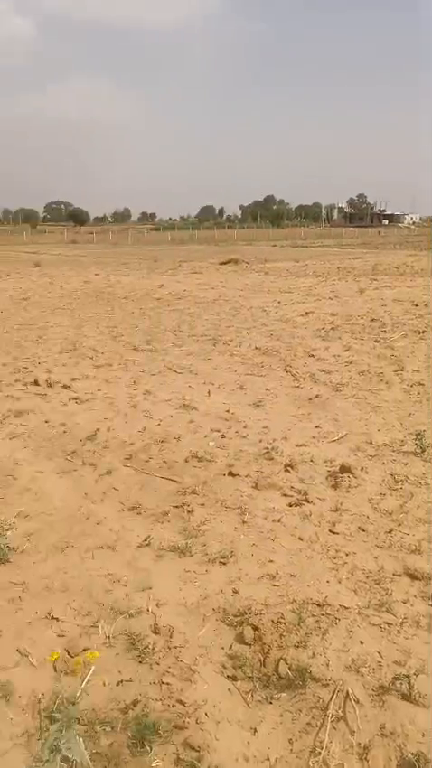 Plots For Sale In Thethar Basna Kotkasim