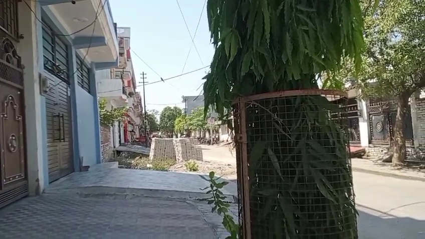 1 Bigha Land Price In Kanpur